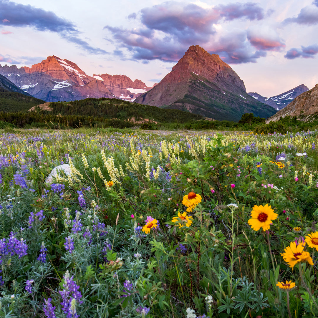 Just Your Average Weekend Photography