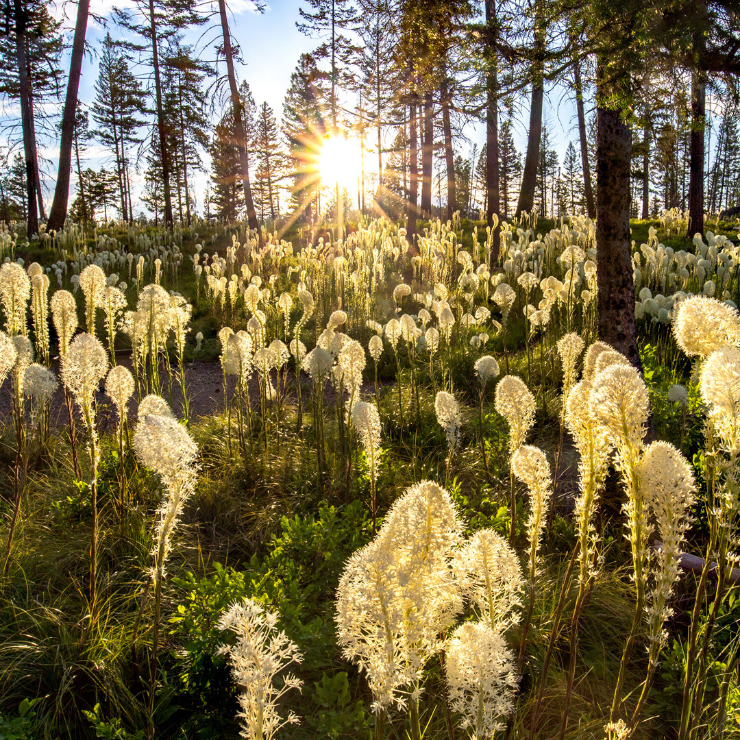 Just Your Average Weekend Photography