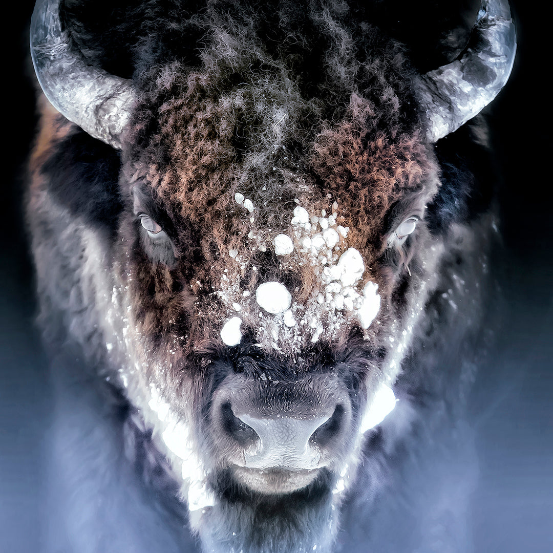 Ken Conger Photography