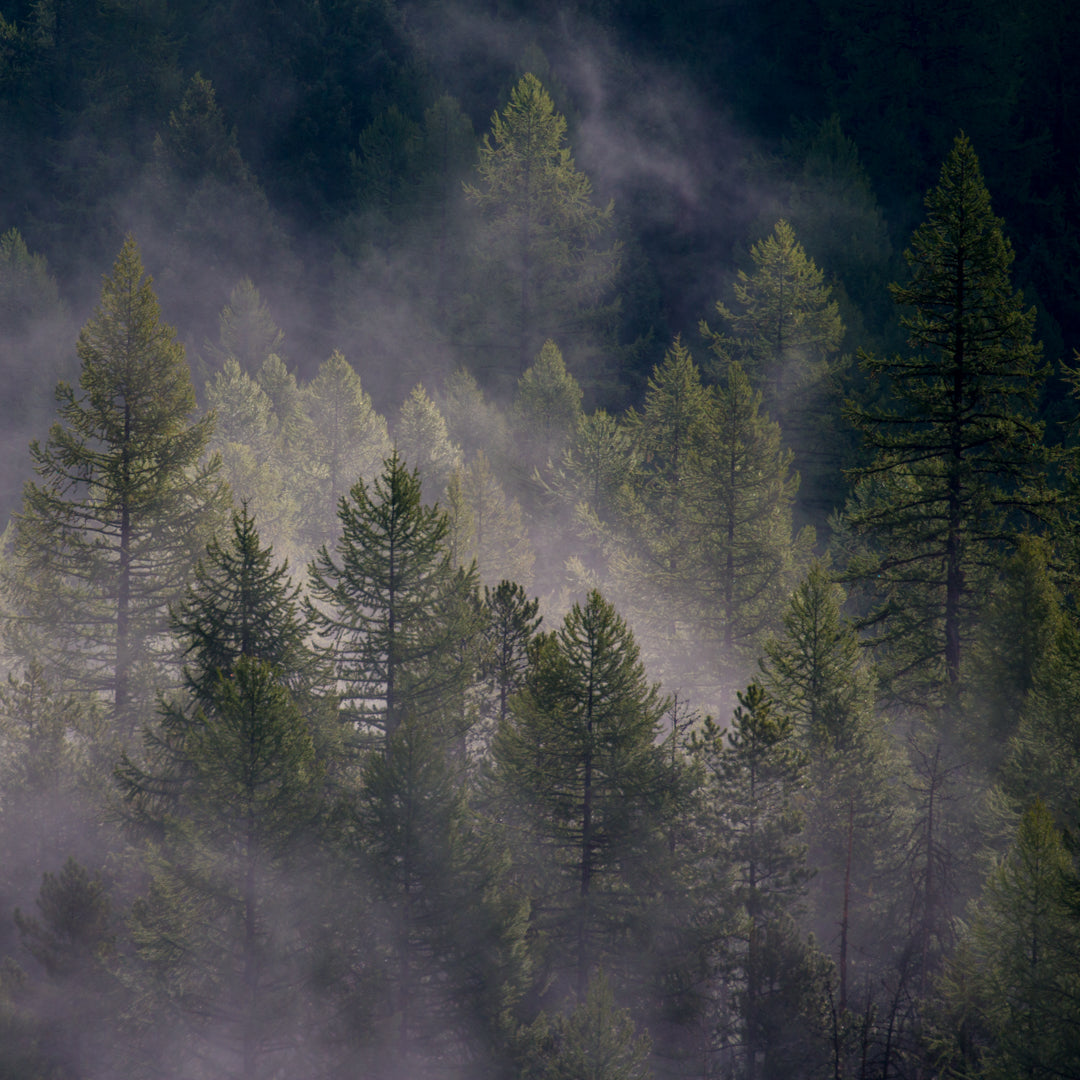 Laura Verhaeghe Photography - handMADE Montana