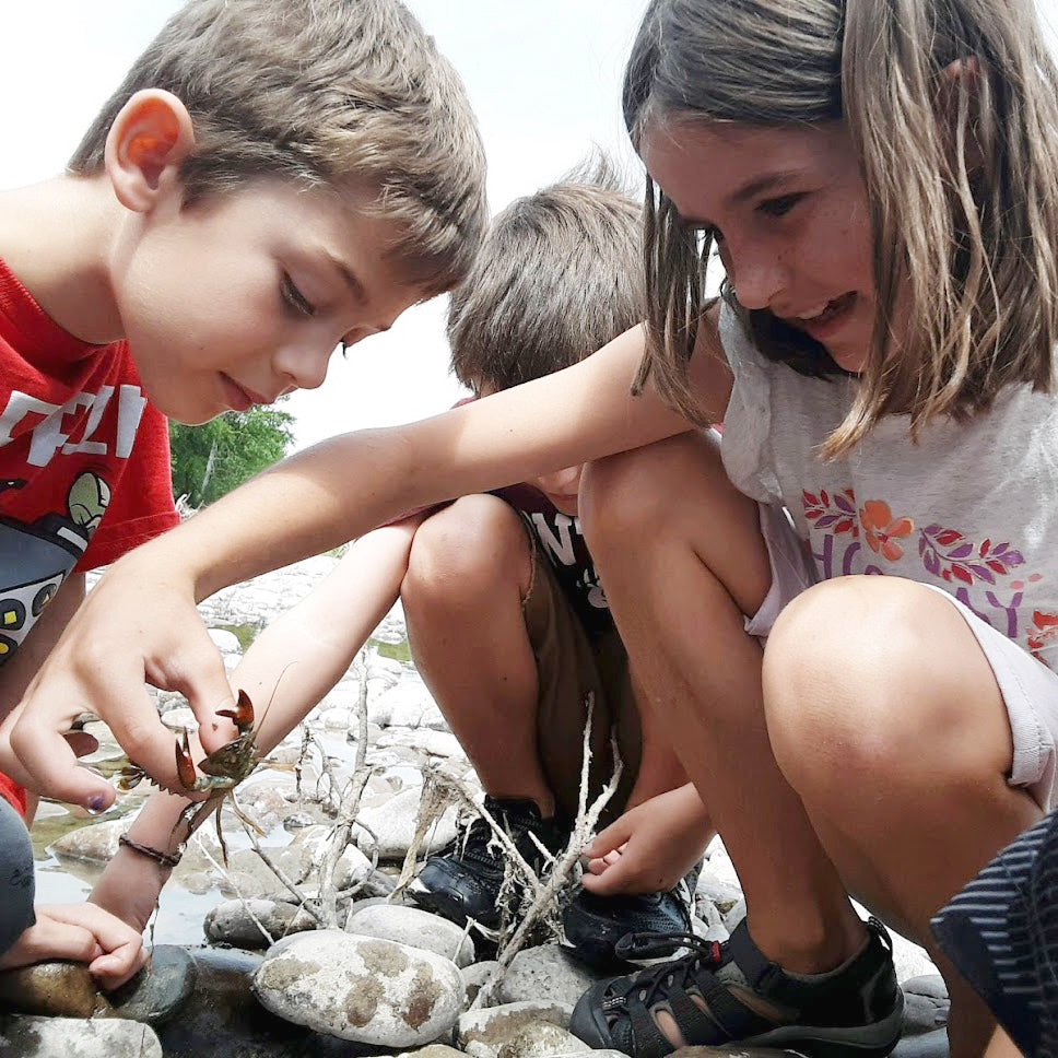 Learning With Meaning