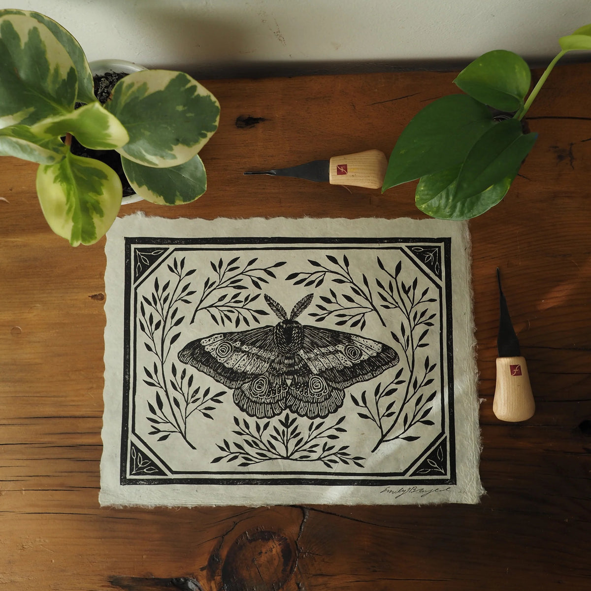 Messenger Moth Studio