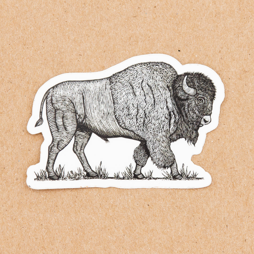 Anomal Sticker Collection