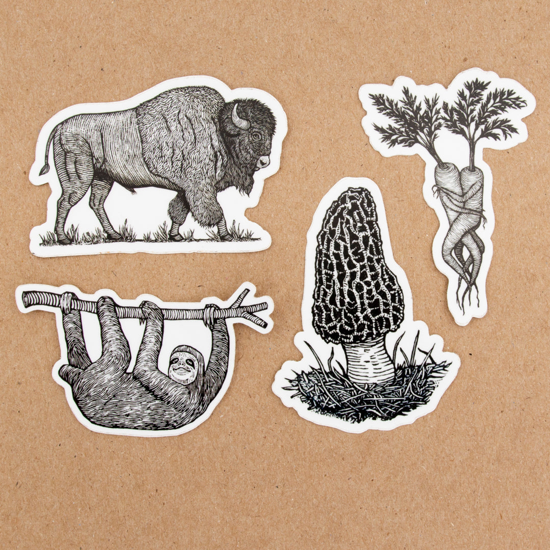 Anomal Sticker Collection