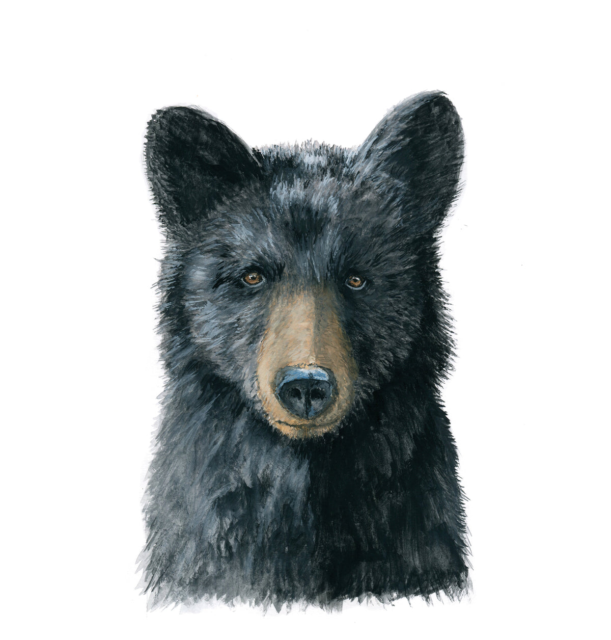 Black Bear