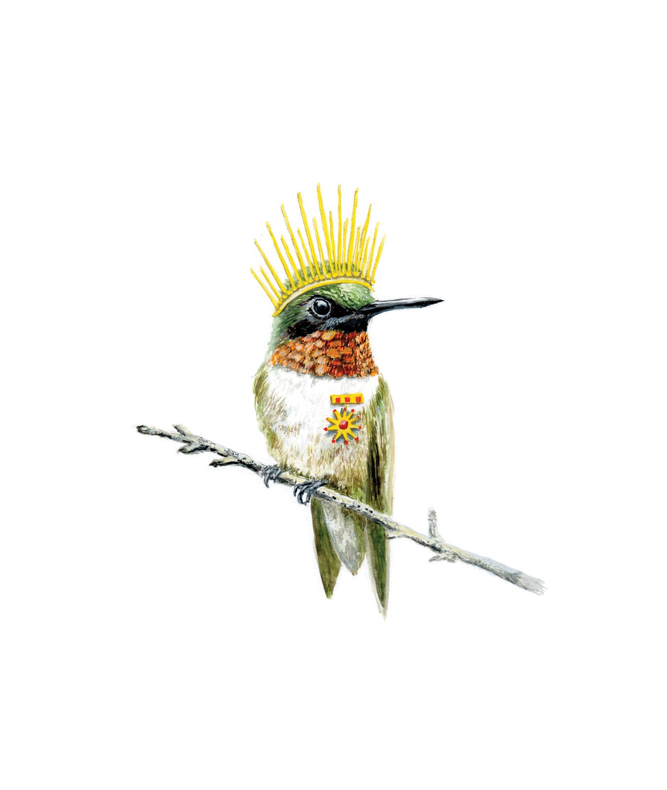 Calliope Hummingbird