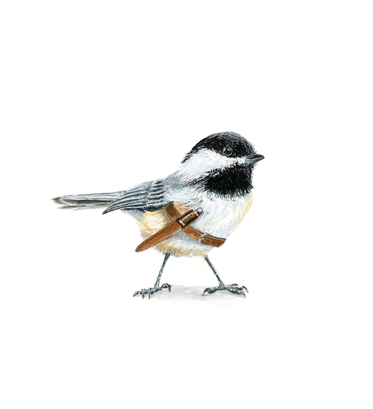 Sharp Chickadee