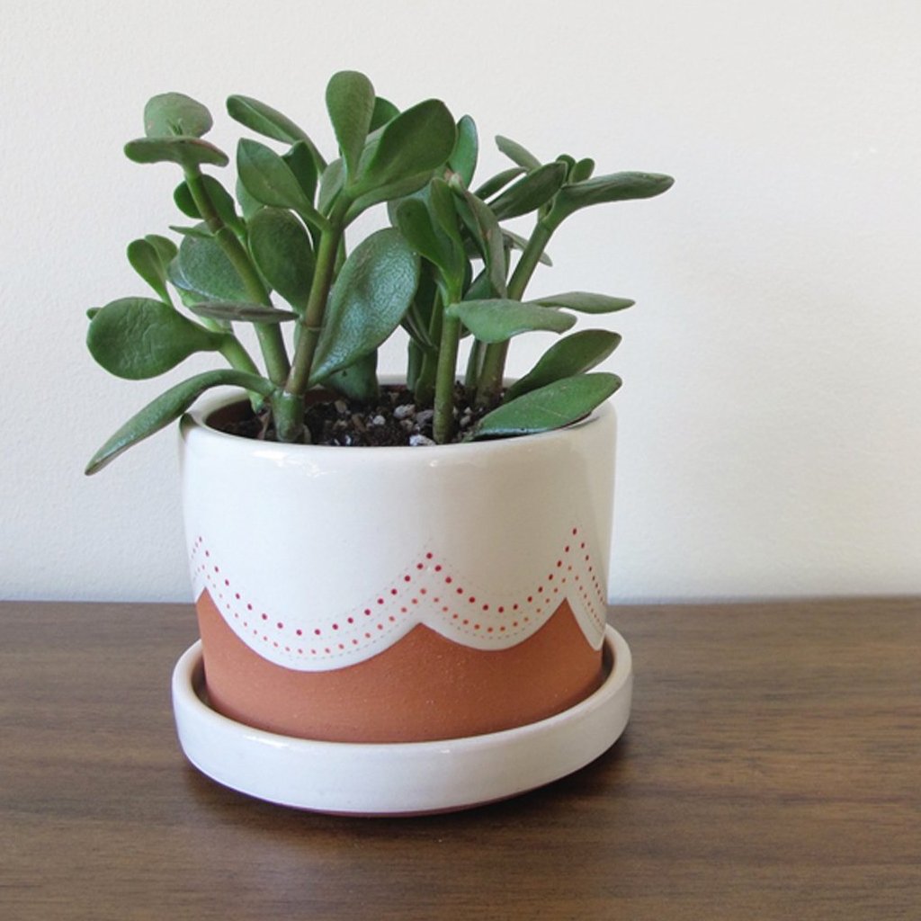 Courtney Murphy Ceramics