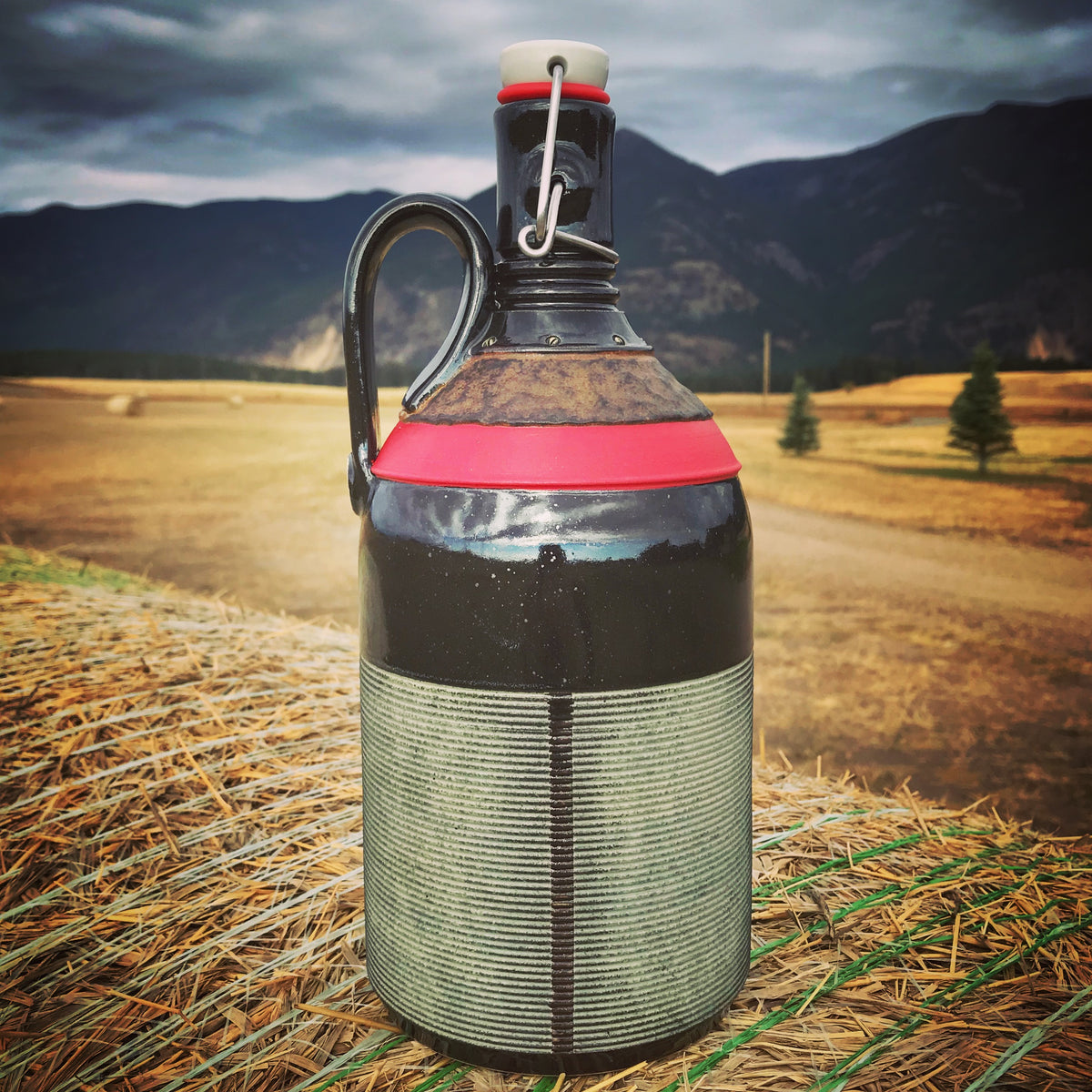 Carlburg Pottery / Handmade Growlers