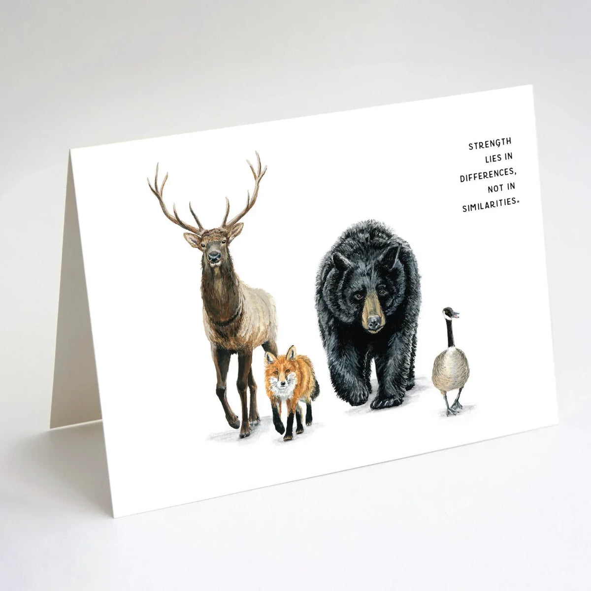 Forest Animals