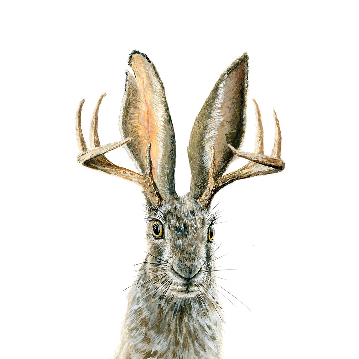 Jackalope