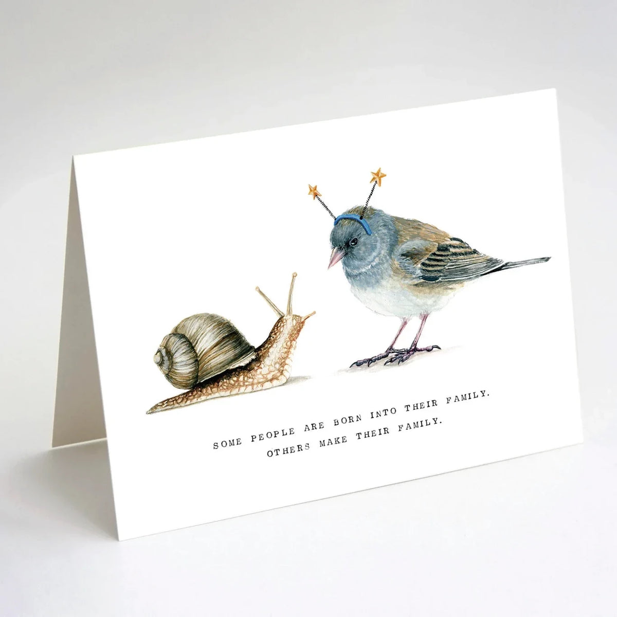 Junco &amp; Land Snail