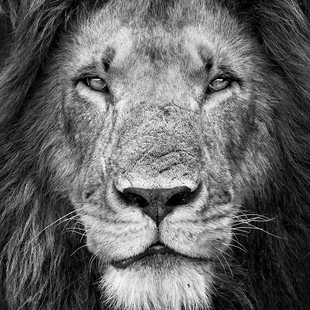 Ken Conger Photography