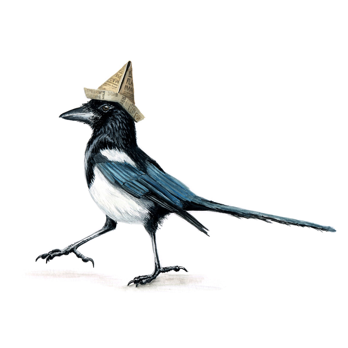 Magpie