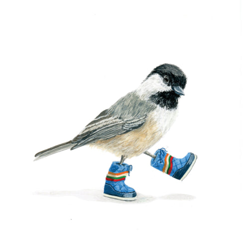 Moonboot Chickadee