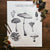Mushrooms of North America Print