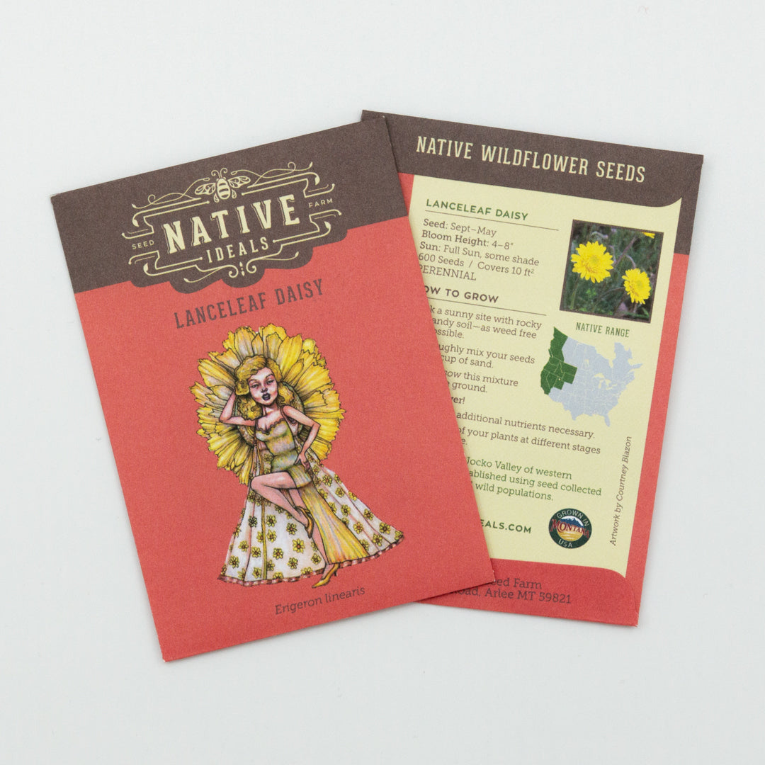 where to buy native plant seeds Native Ideal Seeds