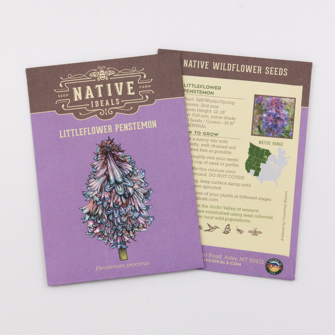 montana native wildflower seeds Native Ideal Seeds