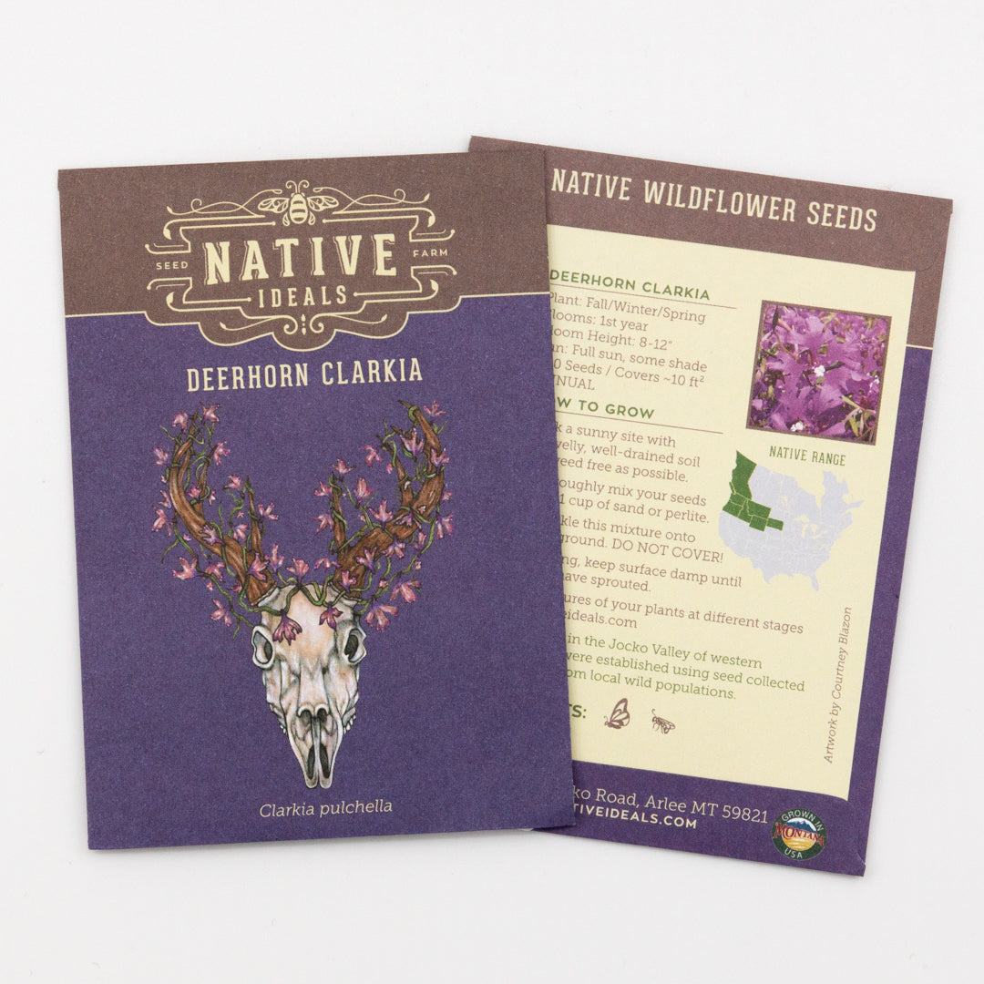 wild plant seeds for sale Native Ideal Seeds