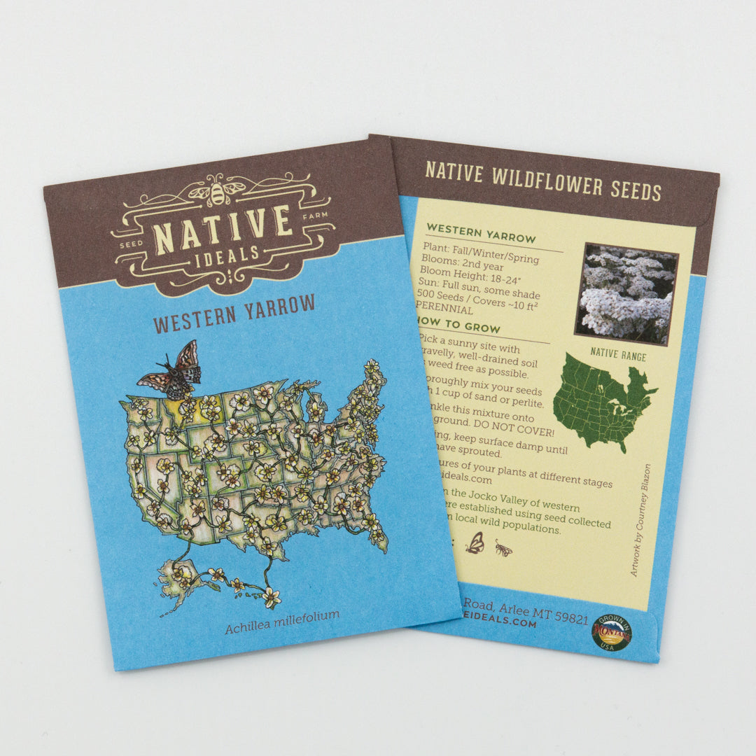 where to buy native plant seeds Native Ideal Seeds
