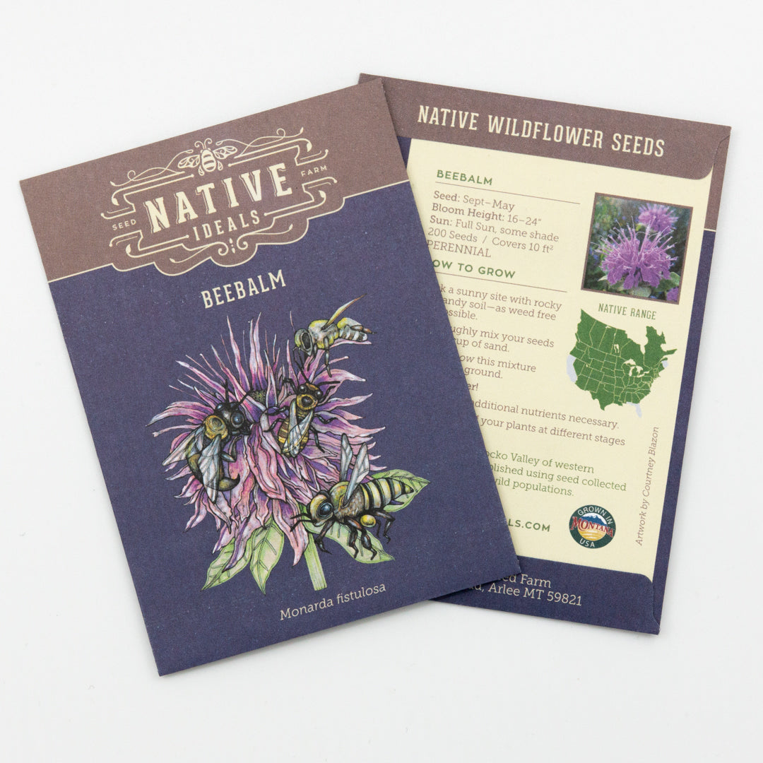 native non invasive wildflower seeds Native Ideal Seeds