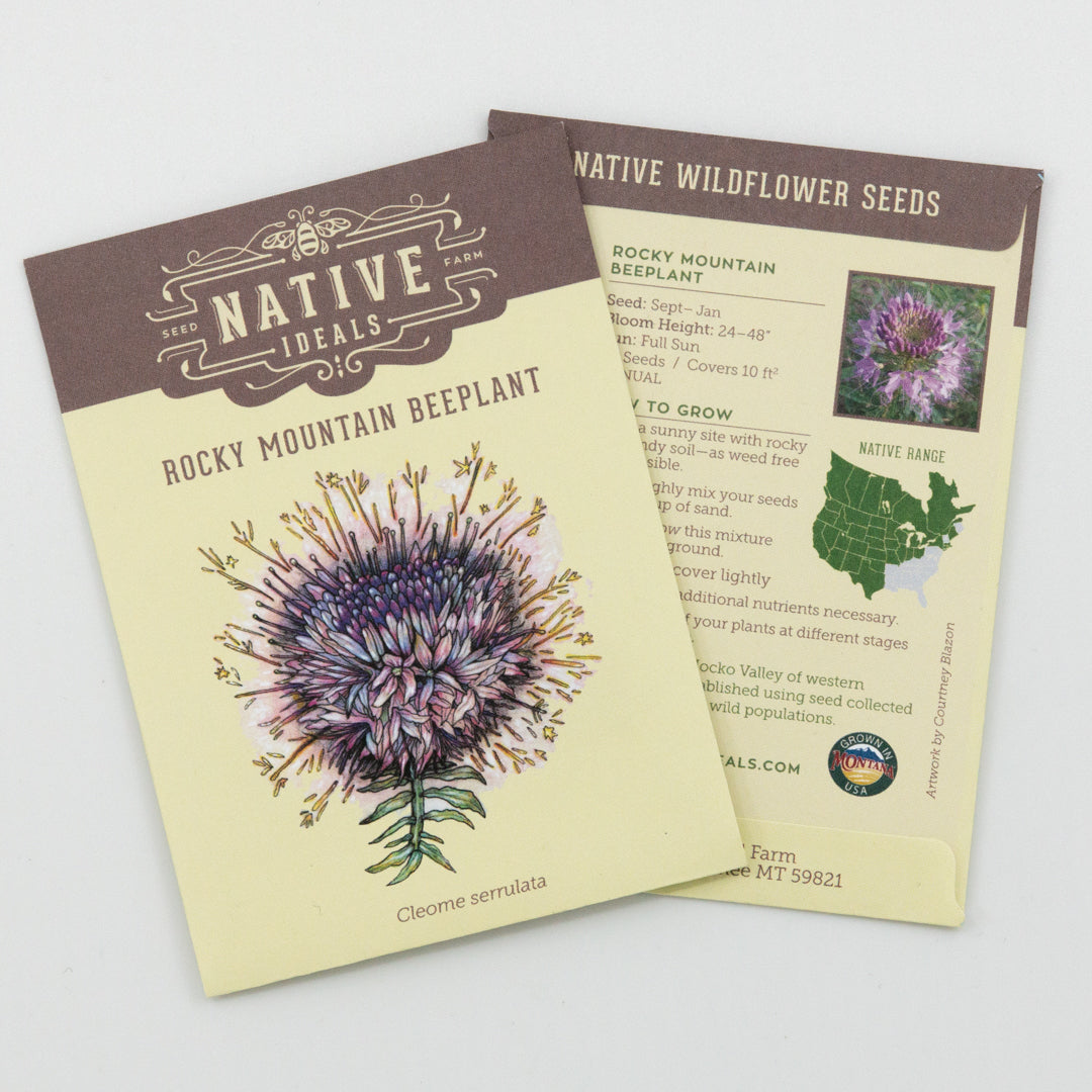 where to buy native plant seeds Native Ideal Seeds