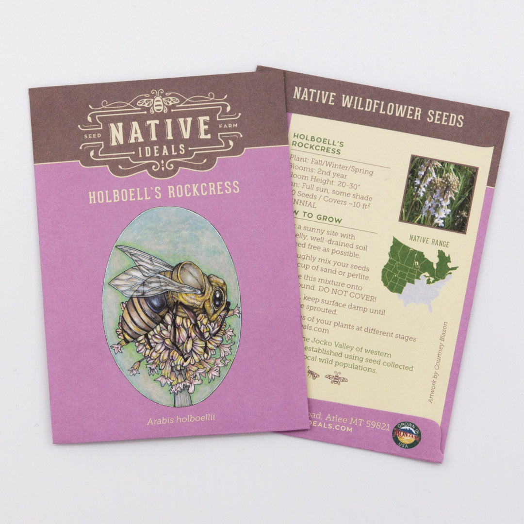 native flower seeds for sale Native Ideal Seeds