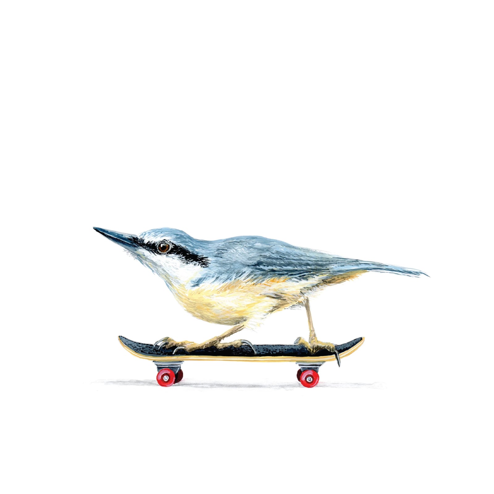 Nuthatch Skater