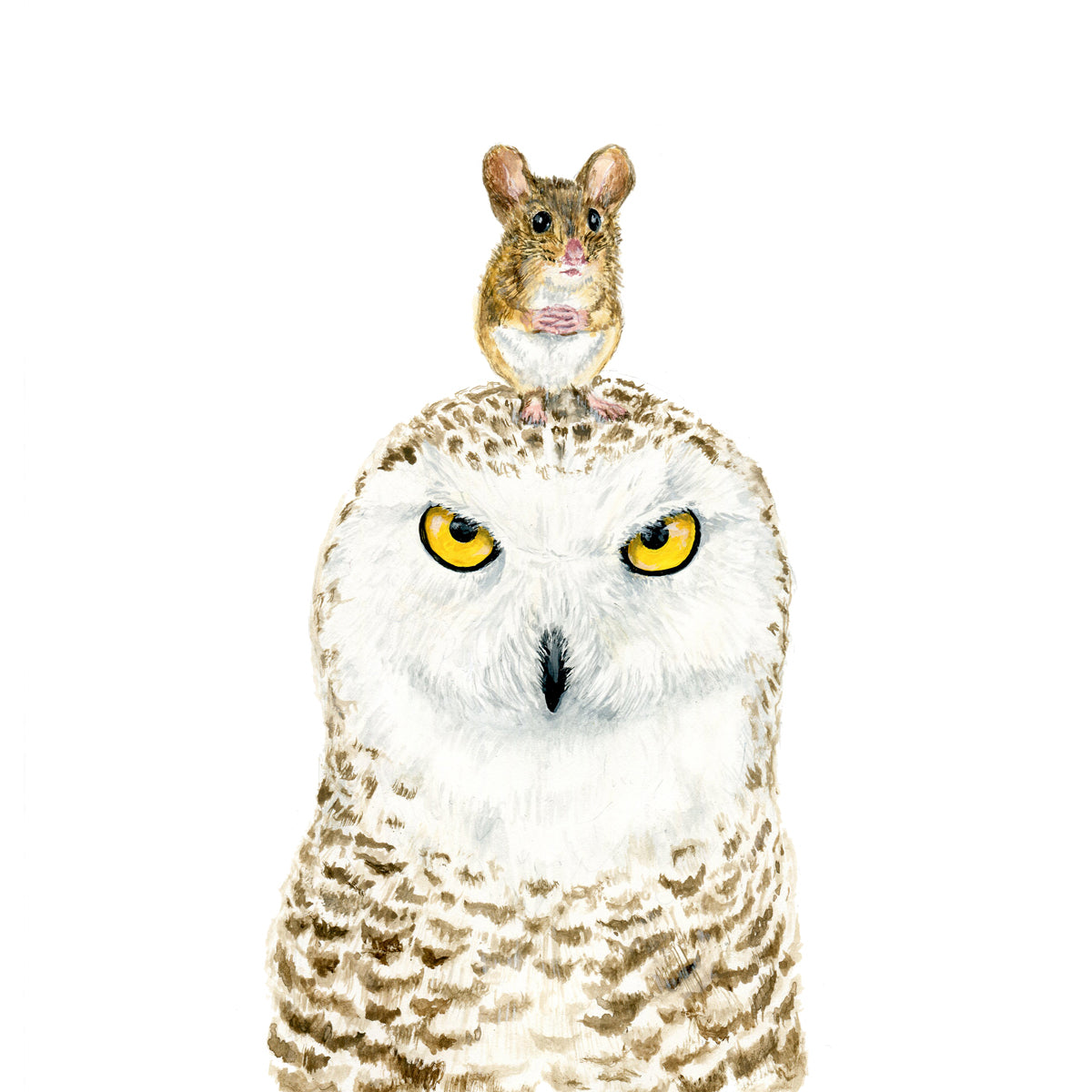 Owl & Mouse