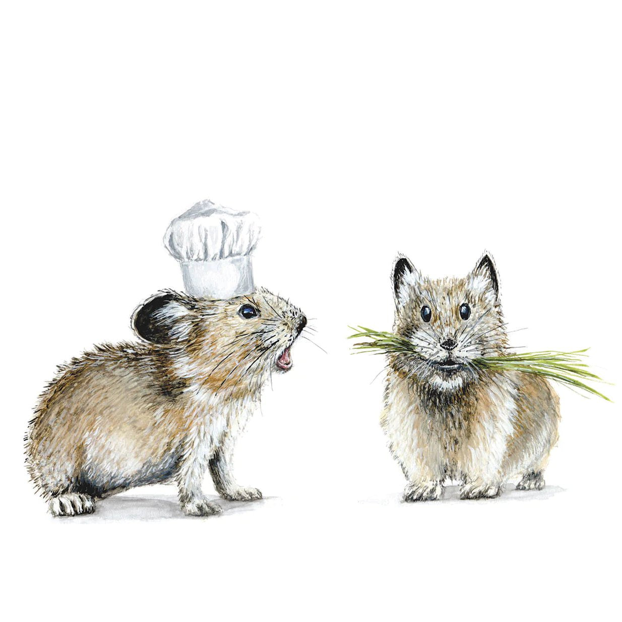 Pikas