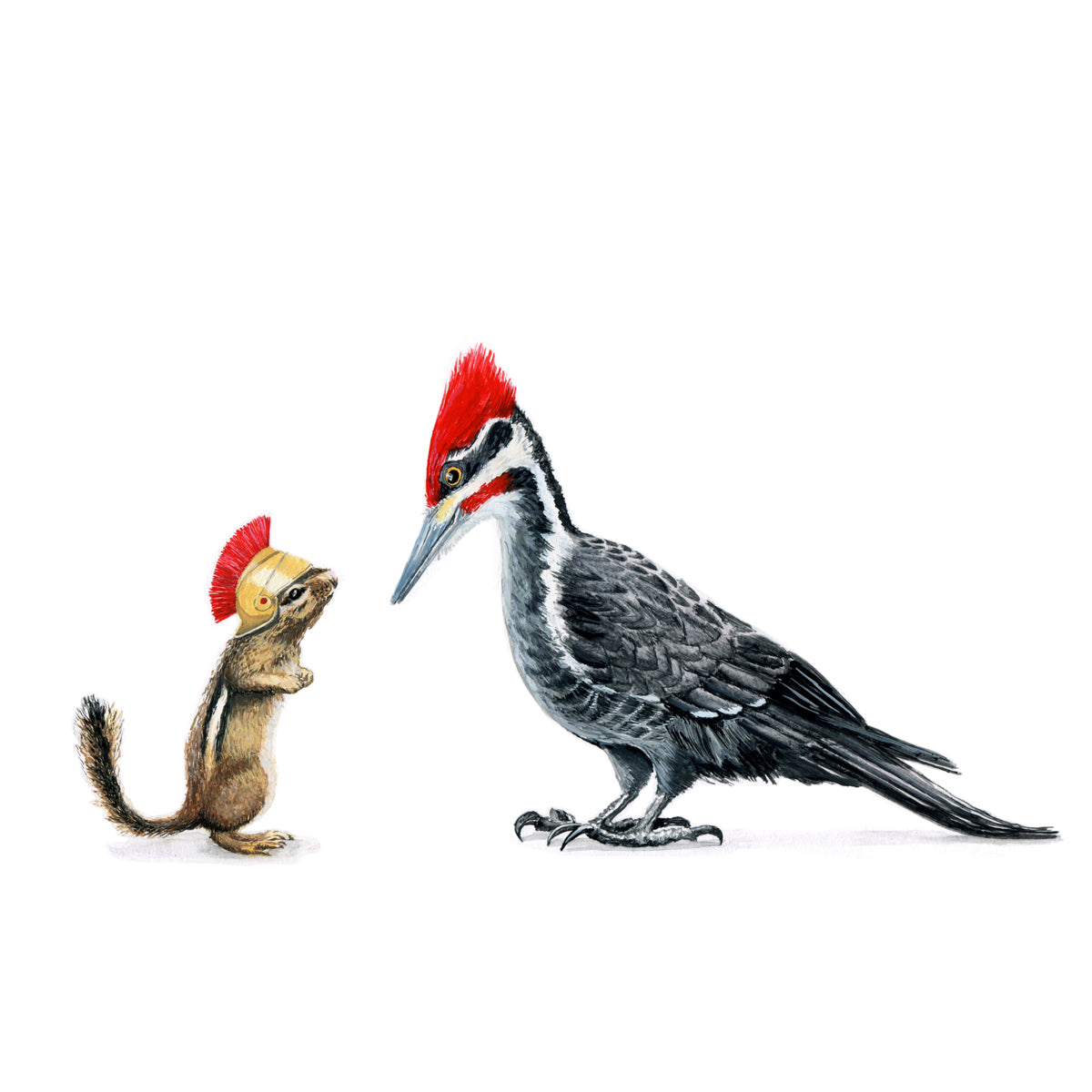 Pileated & Chipmunk