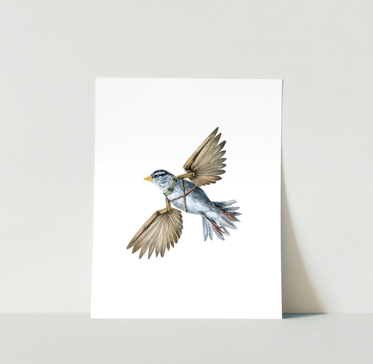 White-Crowned Sparrow