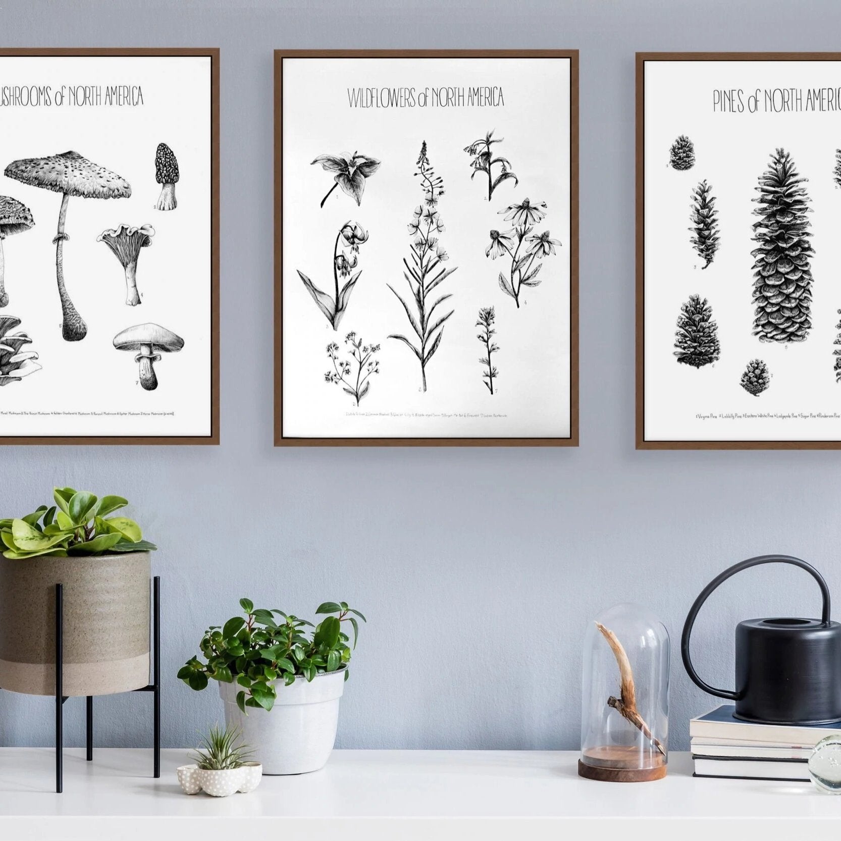 Wildflowers of North America Print