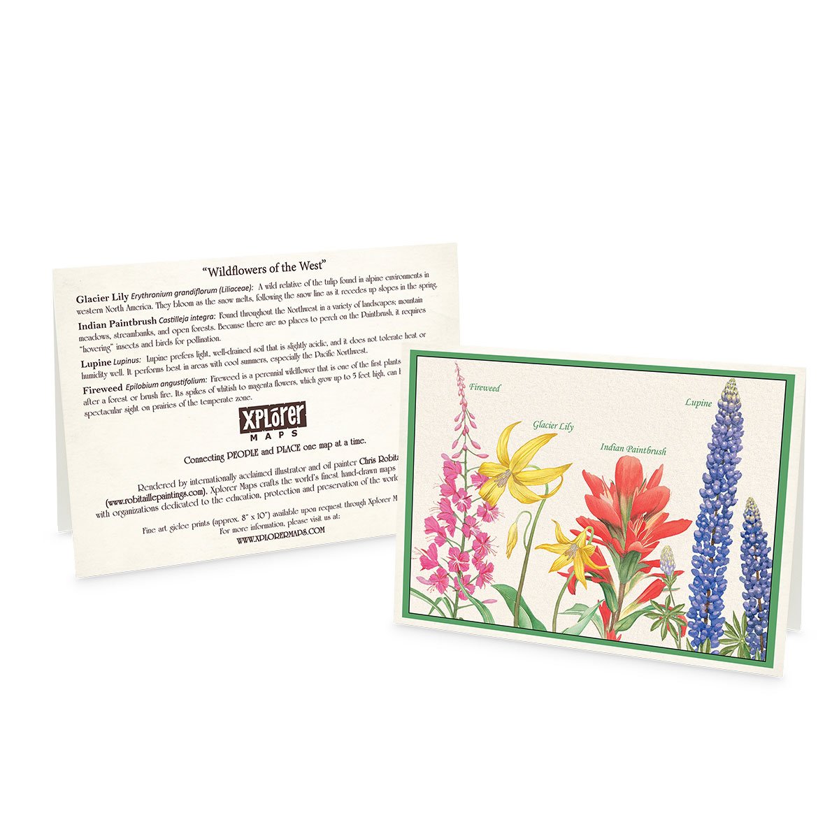 Xplorer Note Cards